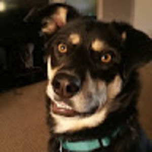 Meet your Posher, Teegan